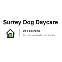 Surrey Dog Daycare image 1