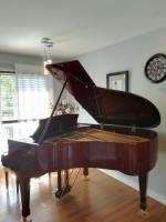 Ottawa Piano Lessons with Eleonora Bohdanova image 2