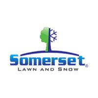 Somerset Lawn and Snow image 1