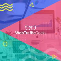 Web Traffic Geeks image 1