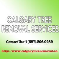 GMK Tree Service image 1