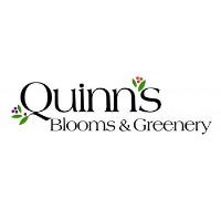 Quinn's Blooms & Greenery image 1