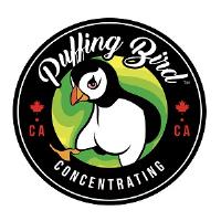 Puffing Bird image 1