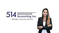 514 Accounting image 2