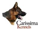 Carissima Kennels logo