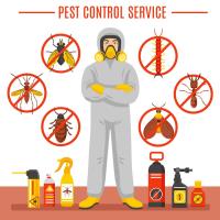 Acme Pest Solutions image 4