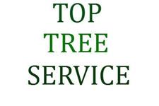 Top Tree Service image 1