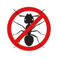 Ant Control image 5