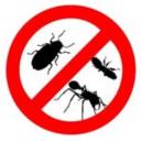 Cockroach Control logo
