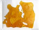 coast concentrates shatter logo