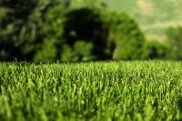 Aspen Turf Artificial Grass image 2