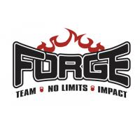 Forge Team Inc image 1