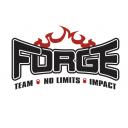 Forge Team Inc logo