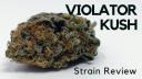 Violator Kush Weed Strain logo