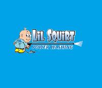 Lil Squirt Power Washing image 4