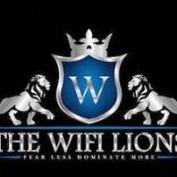The WiFi Lions image 1