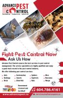 Advance Pest Control image 4