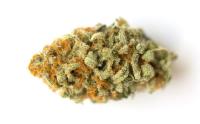Top BC Cannabis image 1