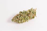 Top BC Cannabis image 9