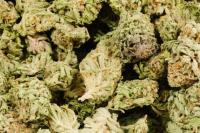 Top BC Cannabis image 10
