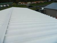 Weatherskin Coatings image 3