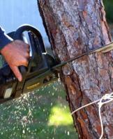 Scarborough Tree Service Pros image 3