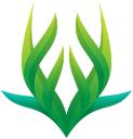 Greenhorn Creative logo