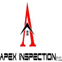 Apex Inspection image 1