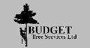 Budget Tree Services Ltd logo