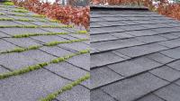 Next Level Moss Treatment and Roof Cleaning image 4