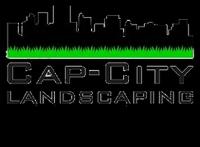 Cap-City Landscaping Inc. image 2