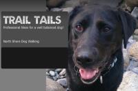 Trail Tails - North Shore Dog Walking image 1