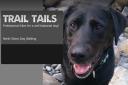 Trail Tails - North Shore Dog Walking logo