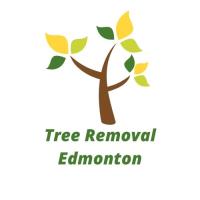 Tree Removal Edmonton image 1