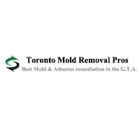 Toronto Mold Asbestos Removal Pros image 1