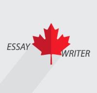 Essay writer image 1