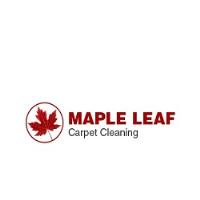 Maple Leaf Carpet Cleaning image 2