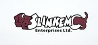 Slinkemo Enterprises Ltd. image 1