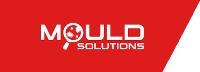 GeoFocus Mould Solutions image 1