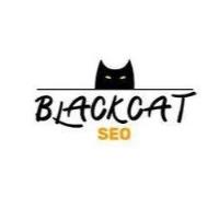 BlackcatSEO Inc. image 1