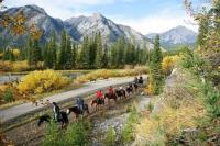 Banff Springs Corrals - Banff Trail Riders image 3