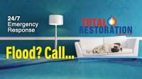 Total Restoration Services Inc. image 2