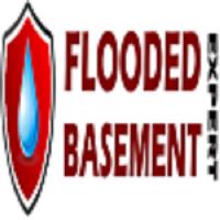 Flooded Basement image 1