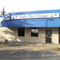 Olds Pet Clinic image 5