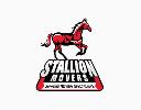 Stallion Movers | Courier & Moving Company Ontario logo
