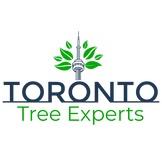 Toronto Tree Experts image 1