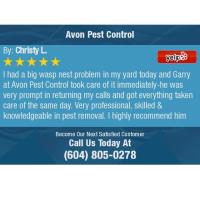 Avon Pest Control Maple Meadows image 7