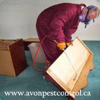 Avon Pest Control Maple Meadows image 2