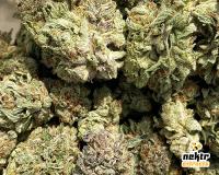 NektrExtracts - A Cannabis Flower Dispensary image 5