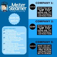 Mister Steamer Carpet Cleaning image 1